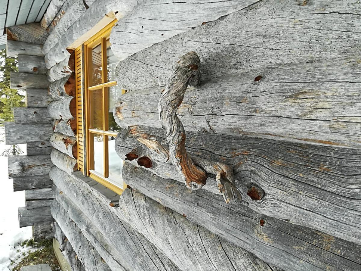 Logwood Chalet Luosto Exterior foto